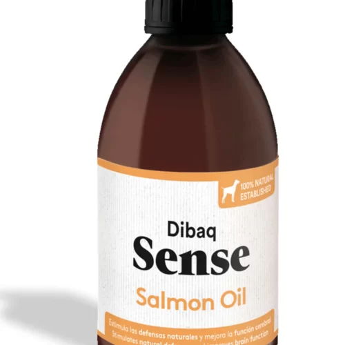 DIBAQ_SENSE_SKANESTAI (1)